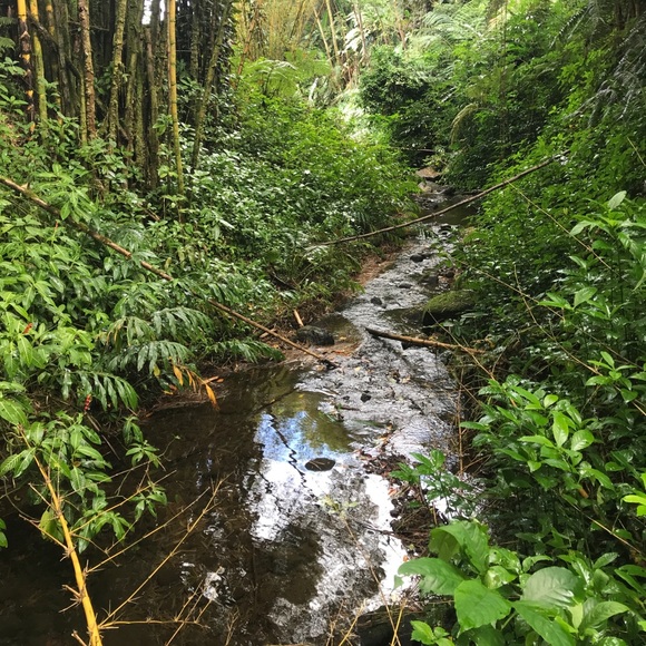 Meet your Posher, Shane - Picture 1 of 1